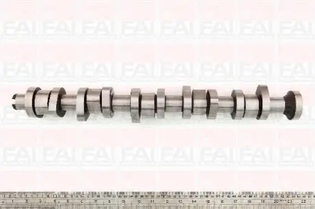 Распредвал VW T5 2.5TDI BNZ/BPC/BPD/BPE FAI C316