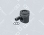 Поршень (діаметр 102мм) DEUTZ FAHR AGROSTAR / AGROSTAR DX, DX, INTRAC BF4L913-F6L913 04 0320 913001 Oe germany 040320913001 (фото 1)