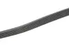 Поклиновий ремень CONTINENTAL Contitech 6PK1124 ELAST (фото 3)