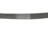 Поклиновий ремень CONTINENTAL Contitech 6PK1124 ELAST (фото 5)