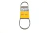 Поклиновий ремень CONTINENTAL 3PK725ELAST