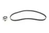 Комплект ГРМ Opel Astra F/Omega A/B/Vectra A/B 1.6/1.8/2.0i 88-03 (20x146z) BOSCH 1 987 948 994