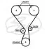 Комплект ГРМ CITROËN C3/C4/PEUGEOT 2008/208/3008/308 1.2 THP 14- Gates K02T360HOB (фото 2)