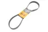 Поклиновий ремень CONTINENTAL 7PK1066EXTRA
