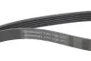 Комплект ГРМ CONTINENTAL Contitech 6PK1180K4 (фото 2)