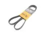 Поклиновий ремень CONTINENTAL 6PK1401EXTRA