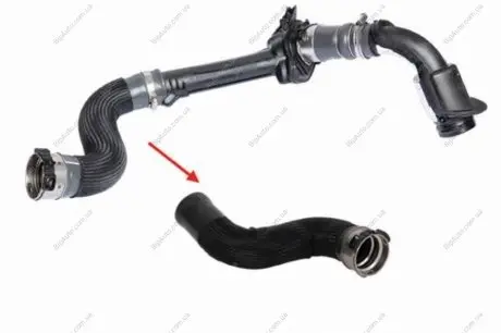 RENAULT Патрубок интеркулера правый RENAULT FLUENCE, GRAND SCENIC III, MEGANE III, SCENIC III 1.5D 02.09- Kautek RE-TH001