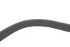 RENAULT Ремень поликлиновый (Elastic) DUSTER 1.6 15-, MEGANE IV 1.6 15- DAYCO 7PK1051EE (фото 3)