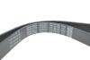 RENAULT Ремень поликлиновый (Elastic) DUSTER 1.6 15-, MEGANE IV 1.6 15- DAYCO 7PK1051EE (фото 4)