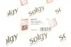 Рычаг подвески SOLGY 204104 (фото 3)