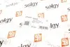 Рычаг подвески SOLGY 204093 (фото 3)