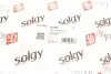 Рычаг подвески SOLGY 204059 (фото 3)