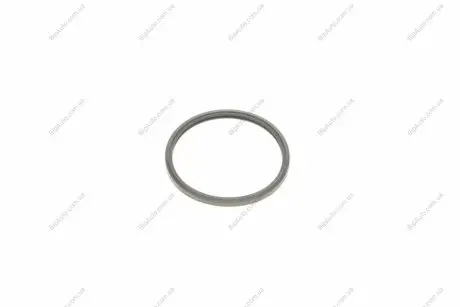 Прокладка термостата Citroen Jumper/Peugeot Boxer 2.2 HDi 06- ELRING 446.020