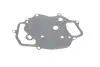 Прокладка фільтра масляного Audi A6/ Q5/Q7/ VW Touareg 3.0 V6 TDI 04-18 VIKA 11151789401