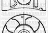 YENMAK OPEL Поршень с кольцами і пальцем (размер отв. 79,0/STD) Astra H, Combo, Meriva, 1.7CDTI 03- 39-04233-000 YENMAK