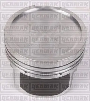 Поршень с кольцами і пальцем (размер отв. 81.01 / STD) AUDI 1.8T 20V (AEB) Yenmak 31-03296-000