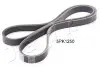 JAPKO 5PK1250 Ремень поликлиновый 5PK1250 (5PK1250) JAPKO 5PK1250