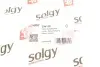 Рычаг подвески SOLGY 204129 (фото 3)