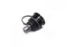 Фото 2 - опора шаровая нижняя Suzuki Swift 04- (выр-во) CTR CB0349 Опора шаровая нижняя Suzuki Swift 04- (выр-во) CTR CB0349 (фото 2)