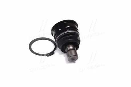 Фото 1 - опора шаровая нижняя Suzuki Swift 04- (выр-во) CTR CB0349 Опора шаровая нижняя Suzuki Swift 04- (выр-во) CTR CB0349 (фото 1)