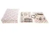Комплект цепи грм BMW 3 (F34)/X1 (F48)/X4 (F98) 2.0D 12- B47 AIC 73932Set (фото 1)
