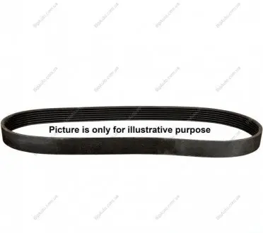 Фото 1 - ремінь приводу навісного устаткування JP GROUP 4018100600 Ремінь приводу навісного устаткування JP GROUP 4018100600 (фото 1)