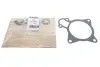 Прокладка помпы воды Citroen Jumper/Fiat Ducato/Peugeot Boxer 3.0 HDi 06- GAZO GZ-A2037