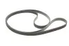 Комплект ремня генератора Land Rover Discovery/Range Rover Sport I 2.7D/3.0D 04-18 (6PK2100) INA 529 0422 10 (фото 2)