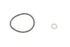 Фільтр масляний BMW 1 (F21)/3(F30/F80)/5(F10)/7(G11/G12) 12- (B37/B38/B47/B48) PARTS KAVO TO-155 (фото 2)