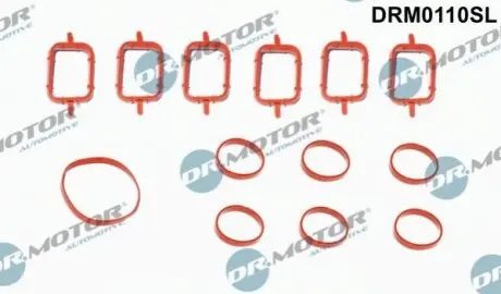 К-т прокладок колектора 13 елементiв DR.MOTOR DR. MOTOR DRM0110SL