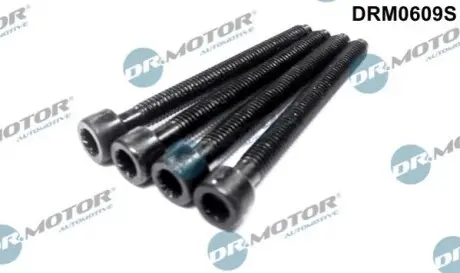 К-т болтiв крiплення форсунки, 4шт. DR.MOTOR DR. MOTOR DRM0609S (фото 1)