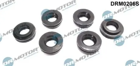 Ремкомплект форсунки 6 елементiв DR.MOTOR DR. MOTOR DRM0206S (фото 1)