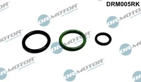 Ремкомплект форсунки 3 елементи DR.MOTOR DR. MOTOR DRM005RK (фото 1)