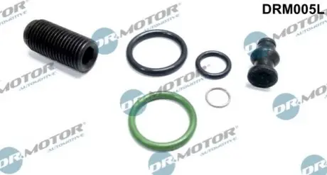 Ремкомплект форсунки 6 елементiв DR.MOTOR DR. MOTOR DRM005L (фото 1)