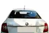 Накладки на кузов Skoda Rapid 2012↗ гг. CarmoS TIT50543 (фото 1)