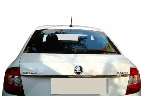 Накладки на кузов Skoda Rapid 2012↗ гг. CarmoS TIT50543