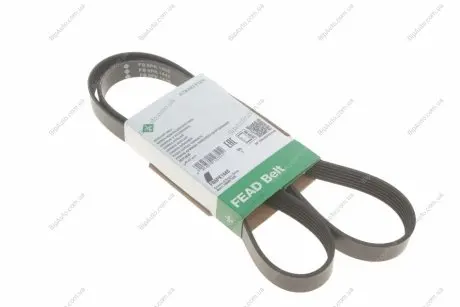 Ремінь генератора Ford Fiesta/Ka 1.3i 95-08 INA FB 6PK1448
