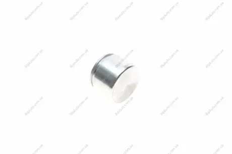 Поршень супорта (переднього/заднього) Lexus LS/Toyota Supra 93-06 (43x31mm) QUICK BRAKE 185094K
