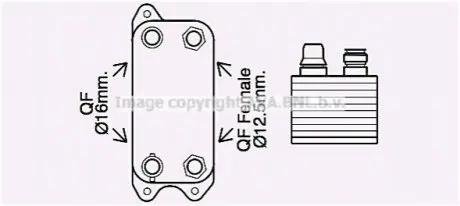 Охолоджувач оливи AVA AVA COOLING MS3686