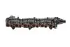 Колектор впускний BMW 3 (E90/F30/F80)/5 (F10)/7 (F01-F04) 3.0D N57 10- GAZO GZ-E1079
