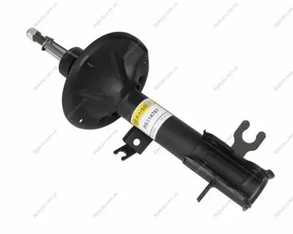 Амортизатор передній пр. Chevrolet Aveo 05 (газ.) RAISO RS314767