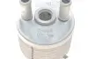 Радіатор масляний Ford Galaxy/Seat Alhambra/VW Sharan 95-10 (теплообмінник) VIKA 44091597401 (фото 2)