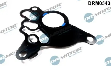 DR.MOTOR Прокладка паливного насоса Audi A3, A4, Skoda Octavia, VW Golf, Jetta, Passat, Touran 2,0TDi 04-13 DR. MOTOR DRM0543 (фото 1)