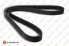 EUROREPAR TOYOTA Поліклиновий ремінь RAV 4 IV 2.2 D 4WD 12- 1635042380 EUROREPAR 1635042380