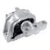 Подушка двигуна 1.9TDI/2.0SDi Caddy 04-10/Golf 04-09 Пр. RAPRO 54257 R54257
