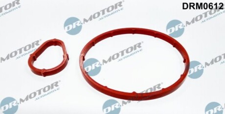 DRMOTOR К-т прокладок помпи вакуумної 2 елементи DR. MOTOR DRM0612