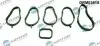 К-т прокладок впускного колектора, 6 шт DRMOTOR DRM0381S