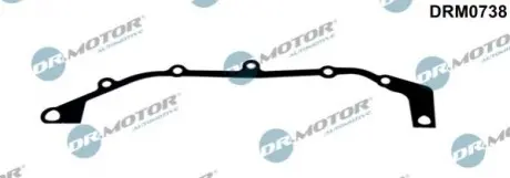 DRMOTOR Прокладка, картер рульового механiзму DR. MOTOR DRM0738 (фото 1)
