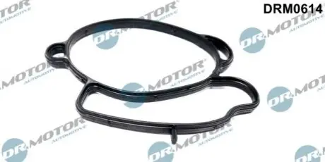 Прокладка корпусу дросельної заслонки DRMOTOR DR. MOTOR DRM0614 (фото 1)