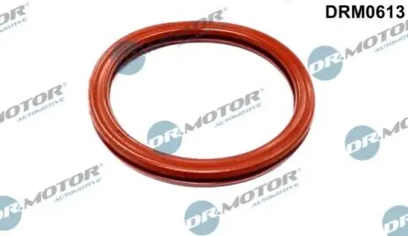 DRMOTOR Ущiльнююче кiльце дросельної заслонки DR. MOTOR DRM0613 (фото 1)